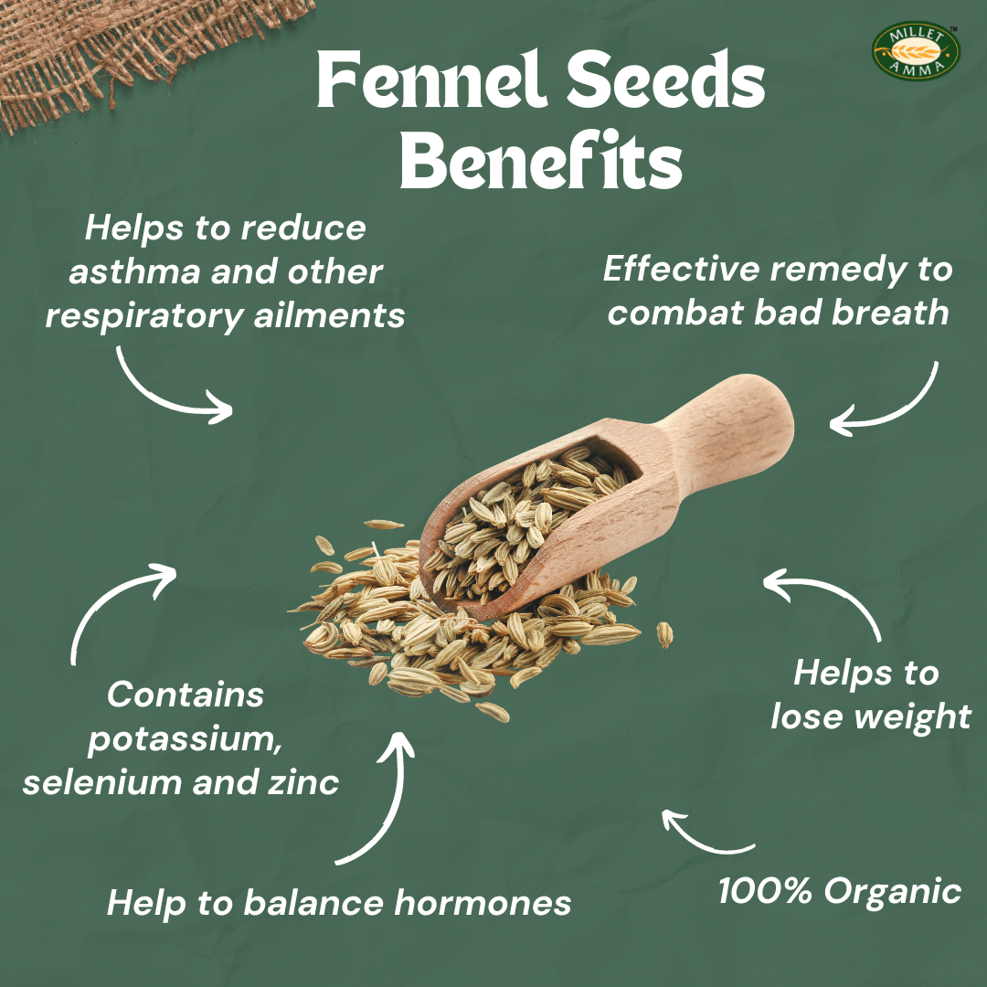 fennel flower seeds benefits Fennel Seeds Organic 250gm