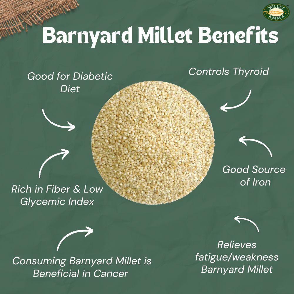 millet-herbazest