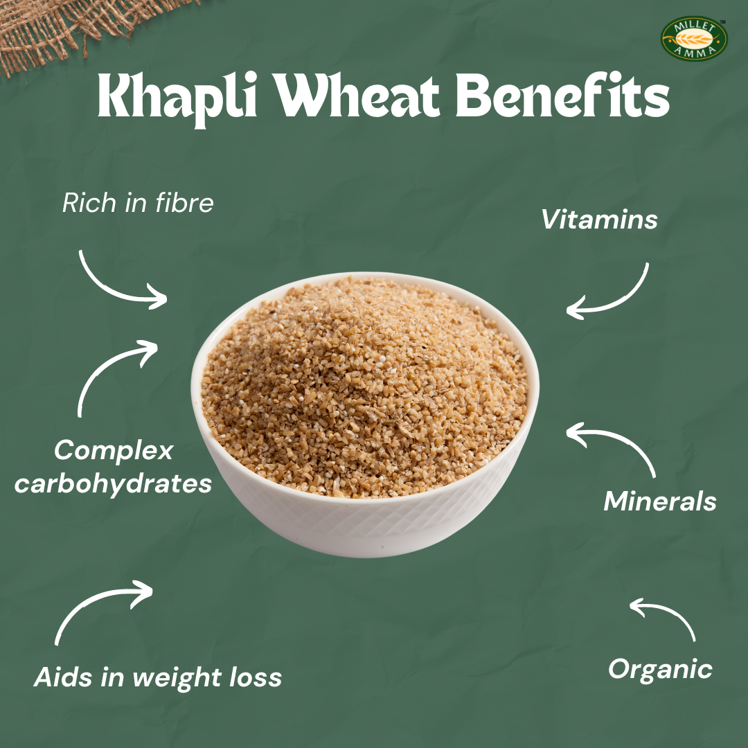 Khapli Wheat Dalia Organic 500gm