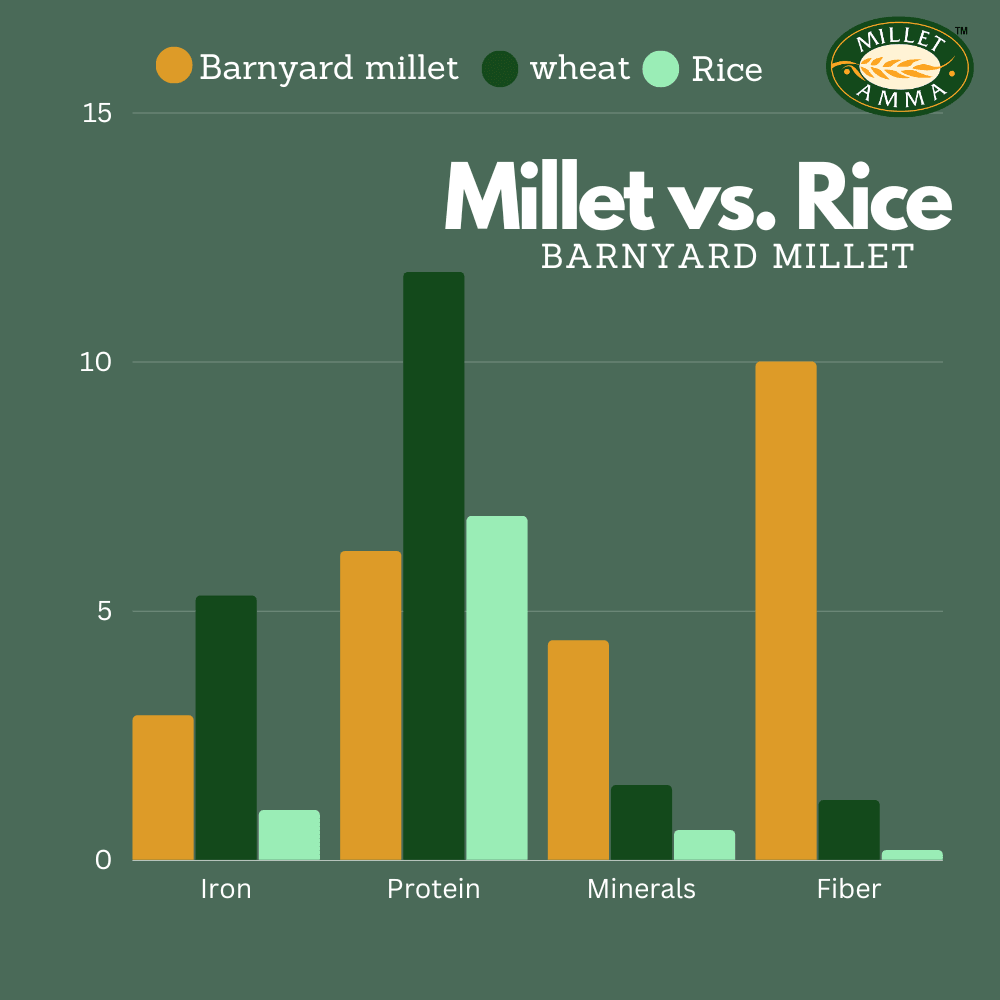 Millet Amma NutriEssence Combo 2 - Siridhanya Flour Combo of 500gram each+ Millet Bisibele bath Mix +Jowar Instant Noodles+Bajra Chivda+Ragi Laddu