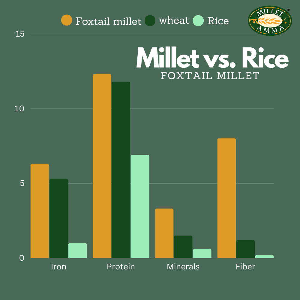 Millet Amma Diabetic Friendly Millet Combo No. 1 - Siridhanya Grain of 500gram Each+Millet Pongal Mix + Little millet Instant Noodles + Jowar Bhakri + Bajra Methi Khakra + Jowar pasta