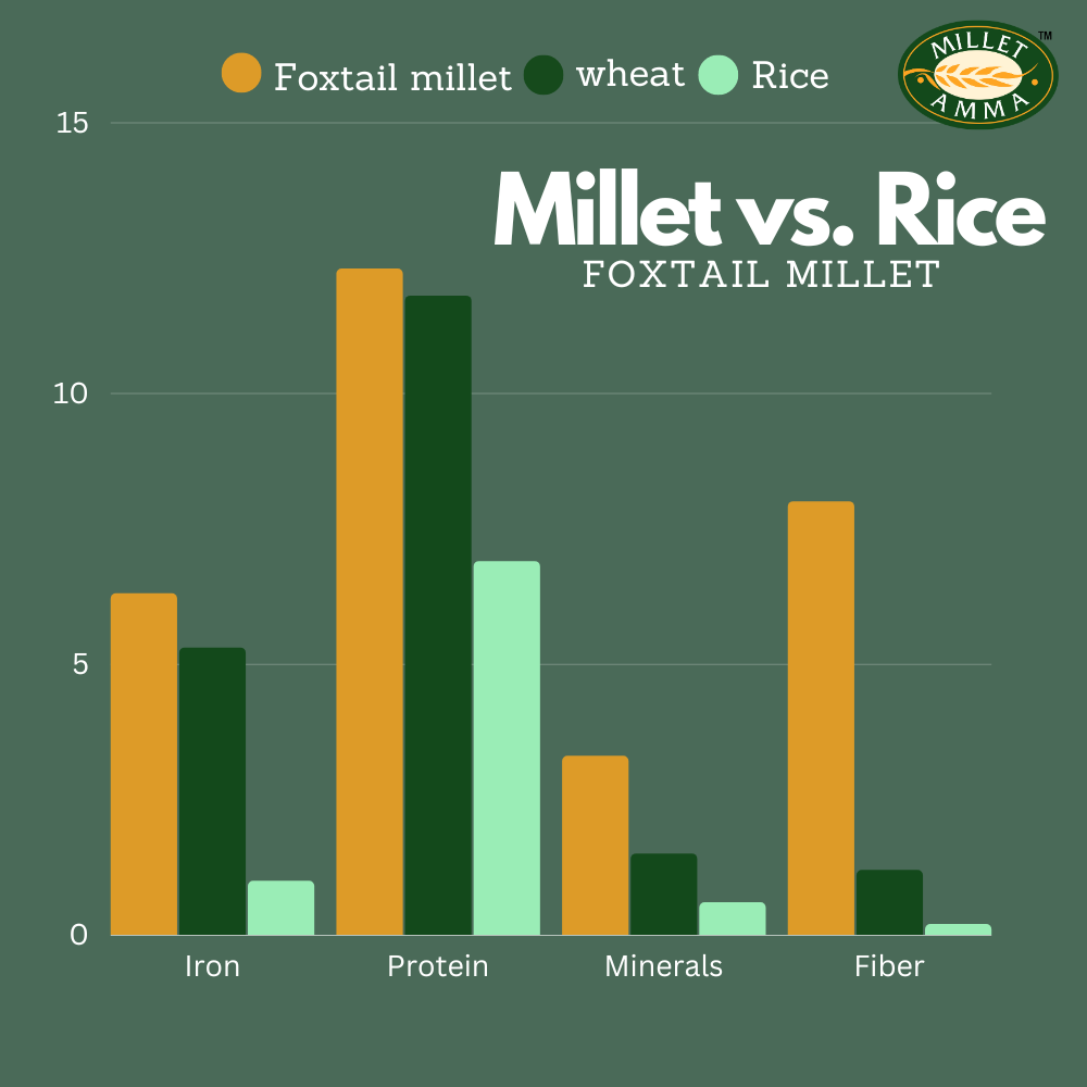 Foxtail Millet Grains Organic 500 G