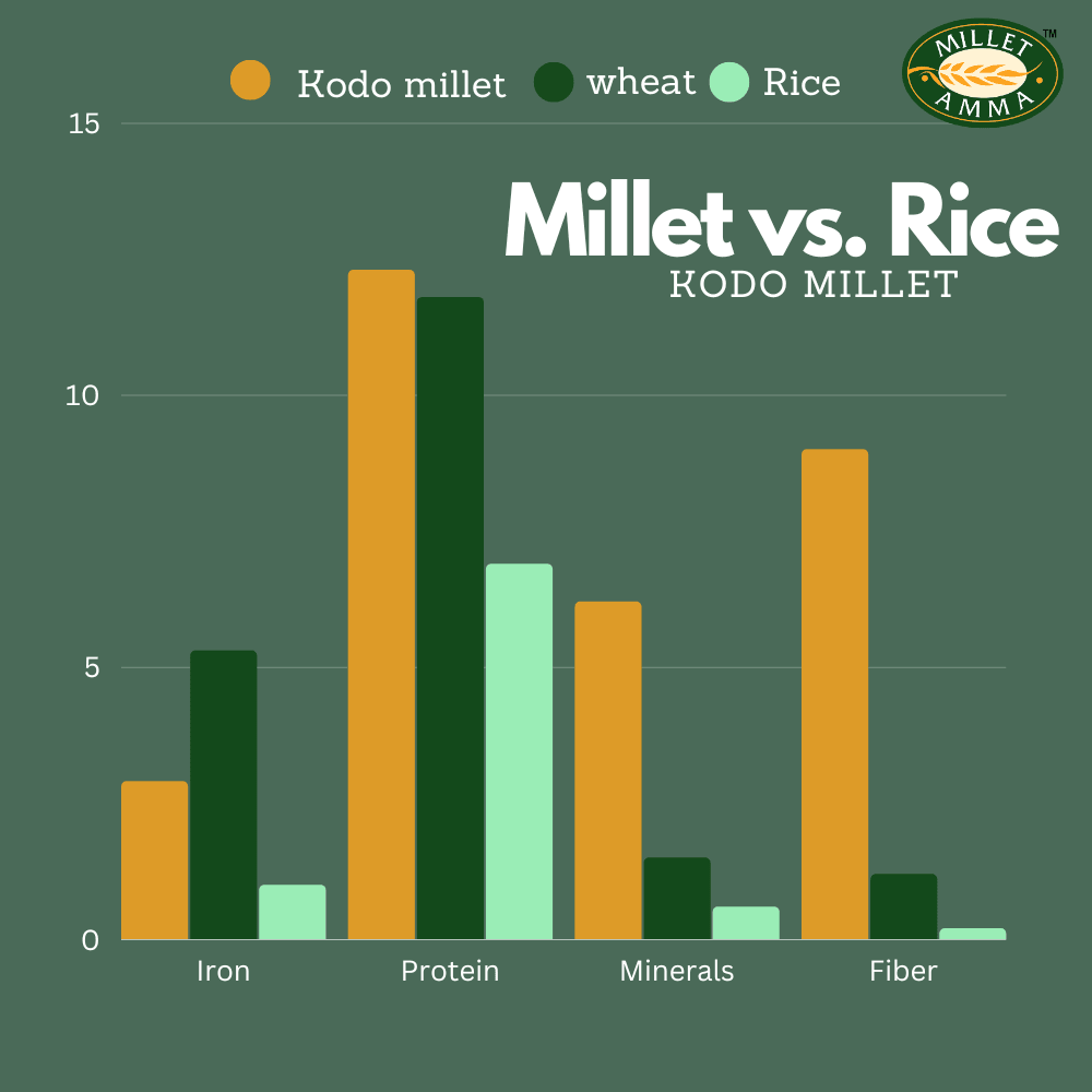 Millet Amma Diabetic Friendly Millet Combo No. 2 - Siridhanya Flour Combo of 500gram each+ Millet Rava Upma Mix+Jowar millet pasta+Bajra methi Khakra+Jowar Bhakri+Little Millet Instant Noodles