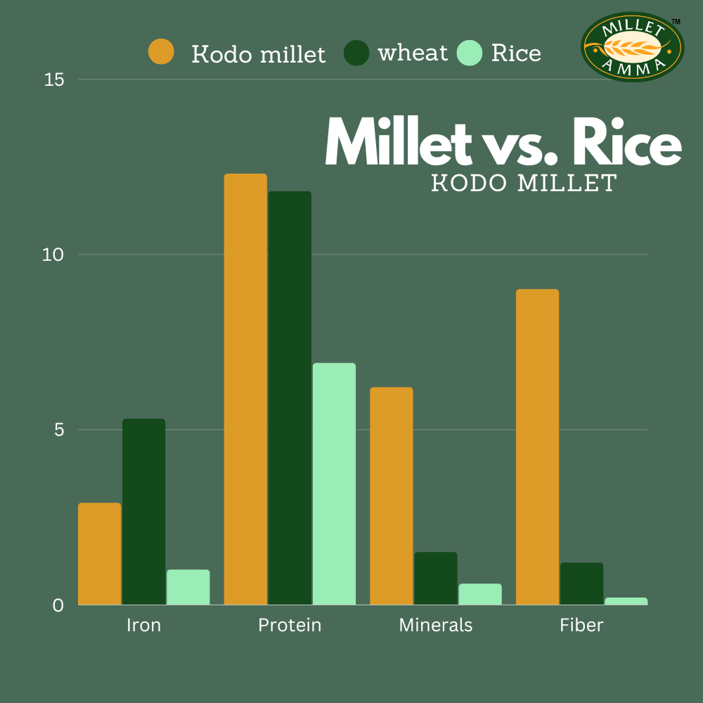 Millet Bisibele Bath Mix Organic 250gm