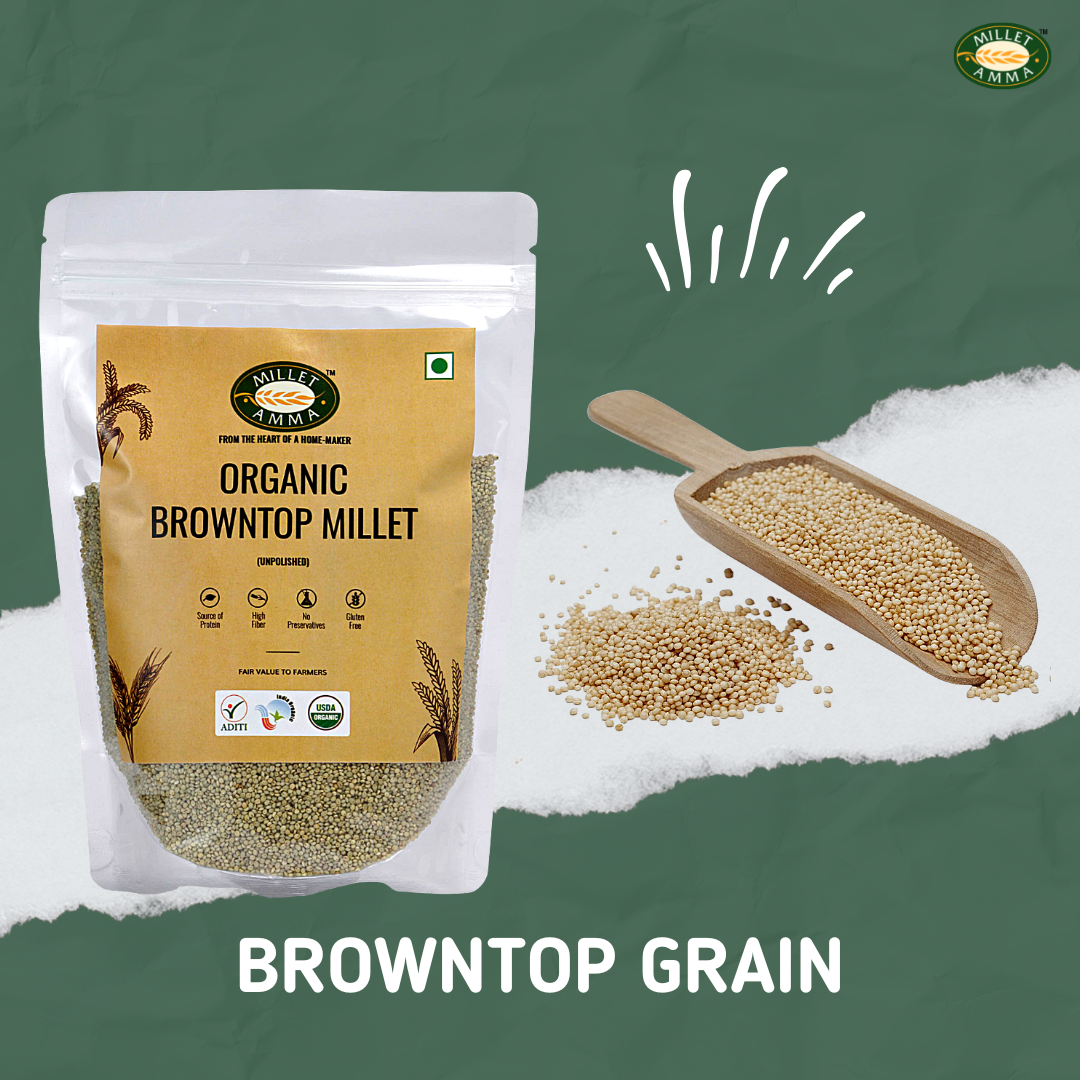 Browntop Millet Grain 500 G